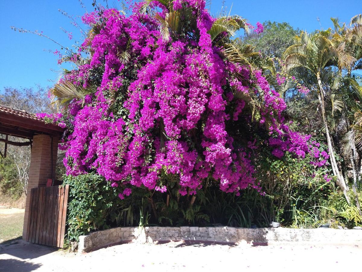 Sitio Pousada Morada Do Sol 쿠냐 외부 사진